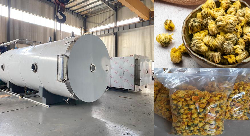 花卉凍干機(jī)