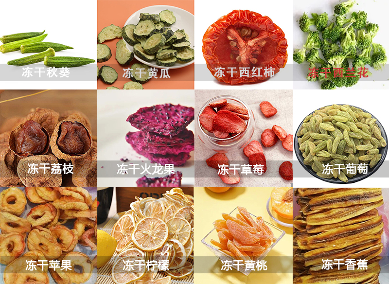 果蔬凍干機的應用圖
